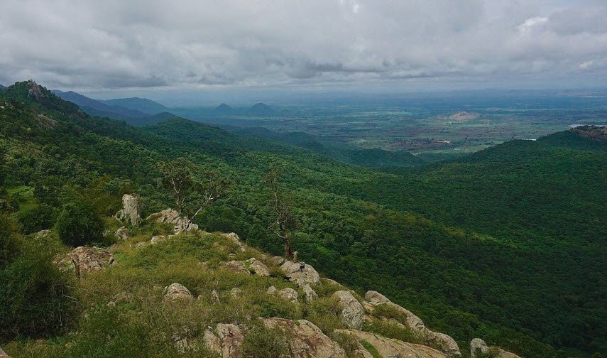 Biligiriranga Hills